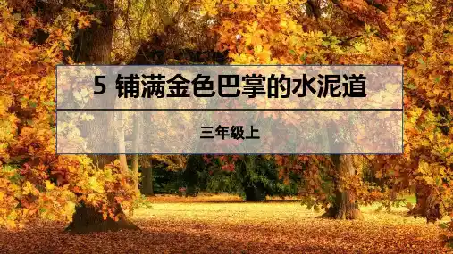 《铺满金色巴掌的水泥道》ppt课件