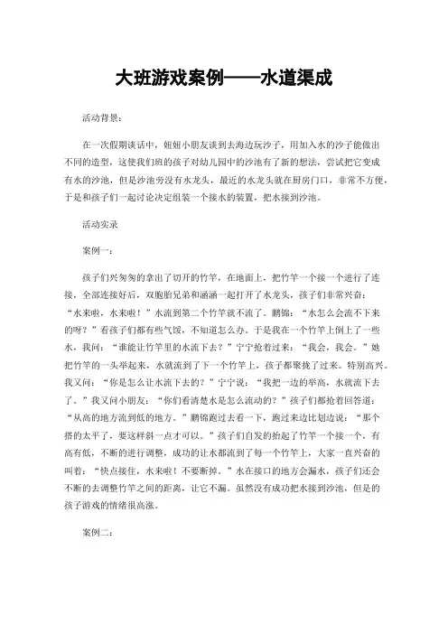 大班游戏案例——水道渠成