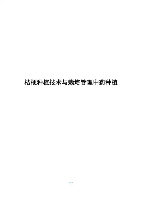 桔梗种植技术与栽培管理中药种植