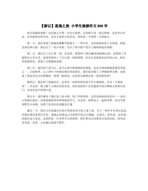 【游记】恩施之旅 小学生旅游作文800字