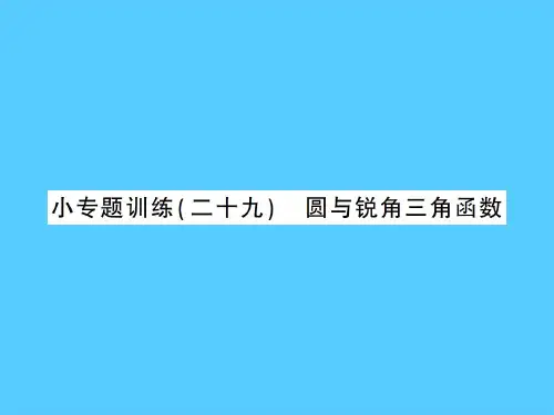 下册 小专题训练 圆与锐角三角函数-2020秋九年级北师大版数学全一册作业课件PPT