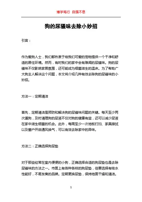 狗的尿骚味去除小妙招