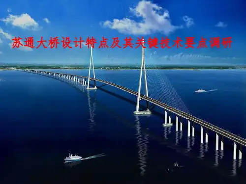 苏通长江大桥调研