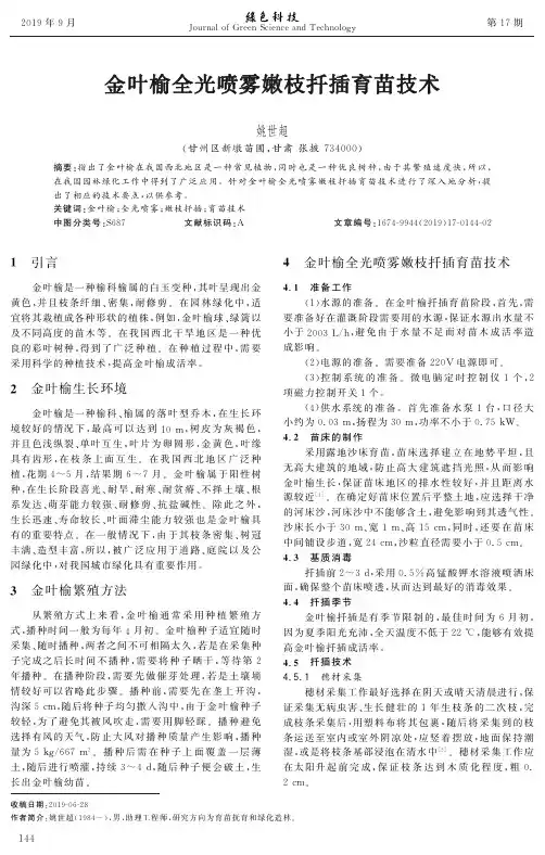 金叶榆全光喷雾嫩枝扦插育苗技术