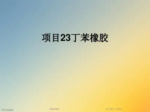 项目23丁苯橡胶
