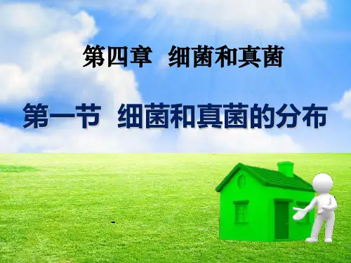 细菌和真菌的分布-PPT课件 