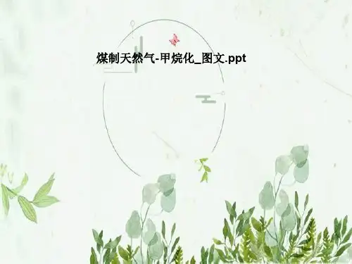 煤制天然气-甲烷化_图文