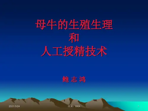 母牛的生殖生理PPT课件