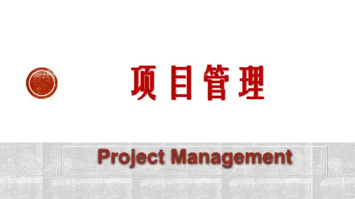  项目管理总论