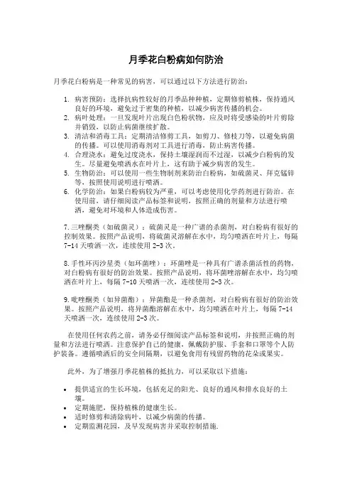 月季花白粉病如何防治