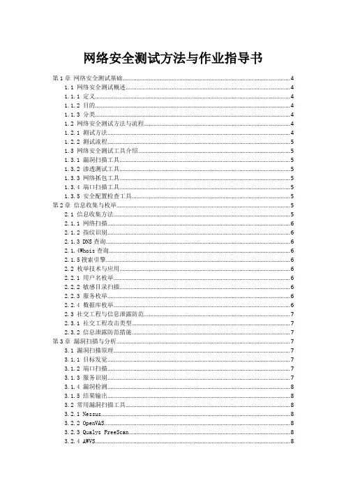 网络安全测试方法与作业指导书