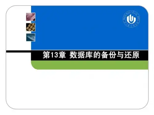 数据库技术与应用—SQL Server 2008(第2版)第13章 数据库备份与还原