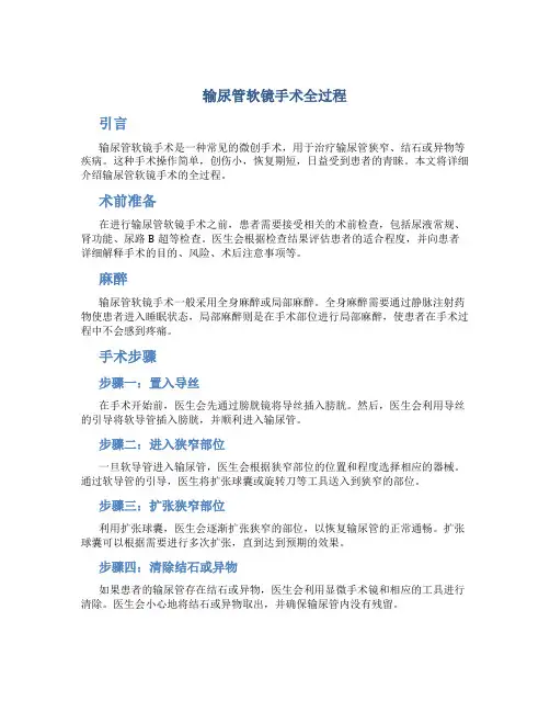 输尿管软镜手术全过程