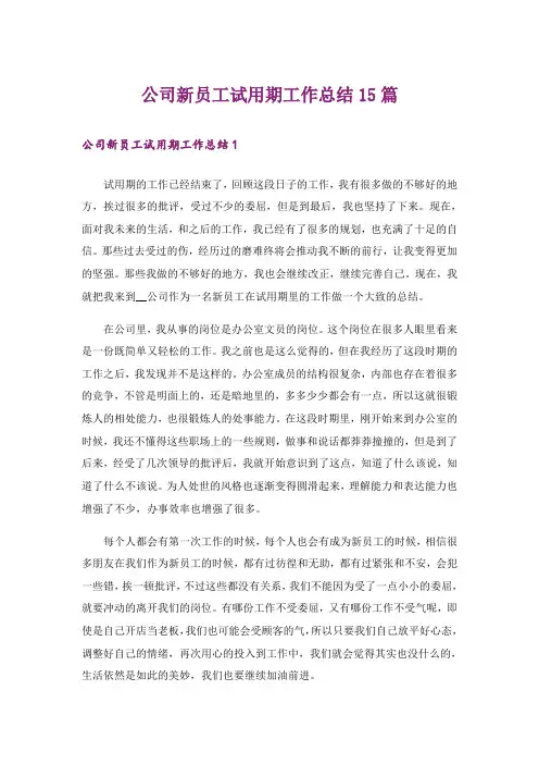 公司新员工试用期工作总结15篇