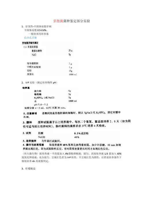 细菌鉴定 实验方法