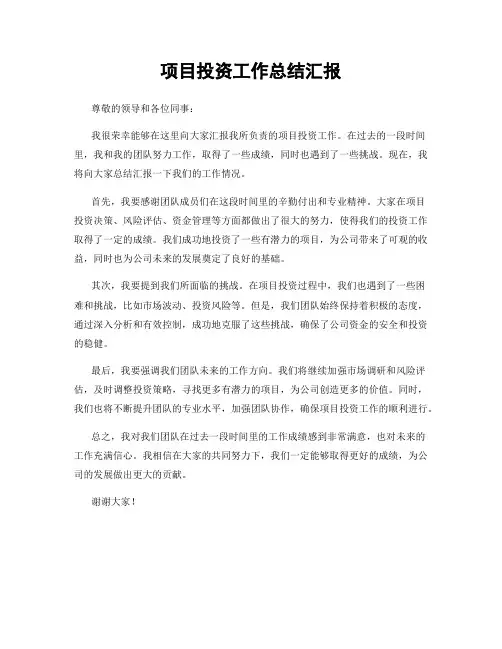 项目投资工作总结汇报