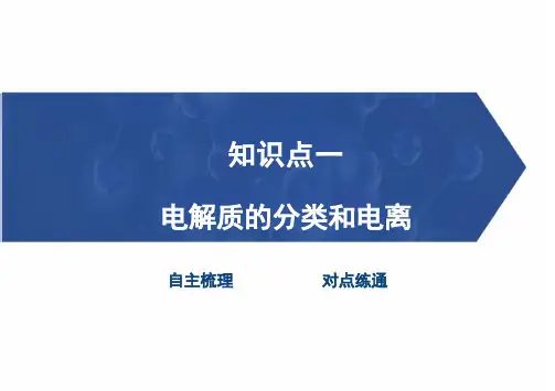 高三新高考化学热点复习——离子反应 离子方程式