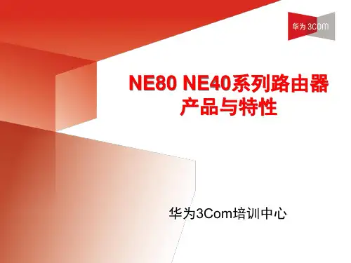 NE80NE40系列路由器产品与特性