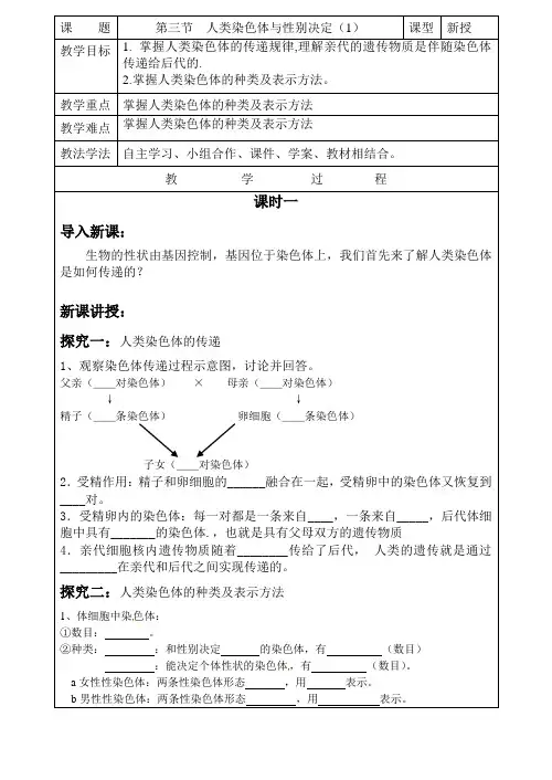 人类染色体与性别决定(第1课时)教学案济南版生物八年级上册