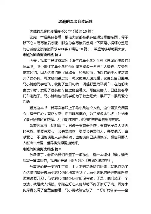 忠诚的流浪狗读后感