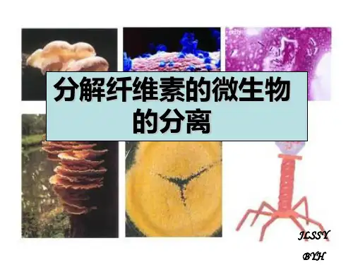 【实验】从土壤中分离纤维素分解菌