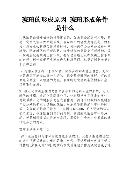 琥珀的形成原因 琥珀形成条件是什么 