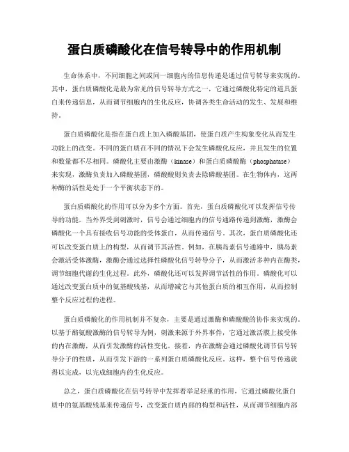 蛋白质磷酸化在信号转导中的作用机制