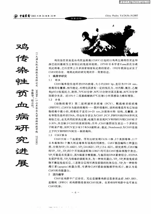 鸡传染性贫血病研究进展