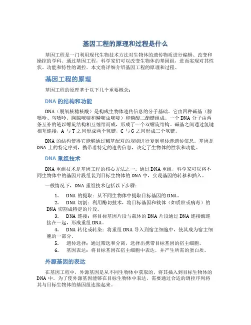 基因工程的原理和过程是什么