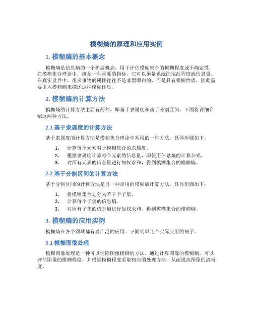 模糊熵的原理和应用实例