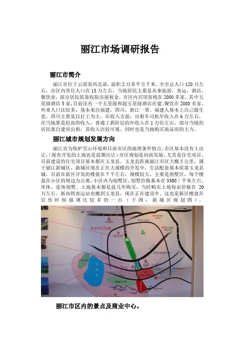 丽江市场调研报告