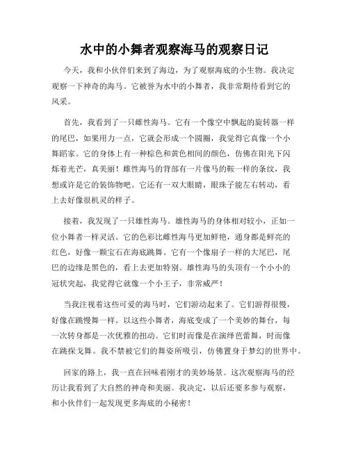 小学三年级作文水中的小舞者观察海马的观察日记