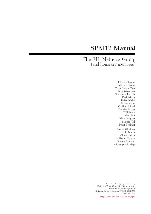 SPM12 manual 目录部分