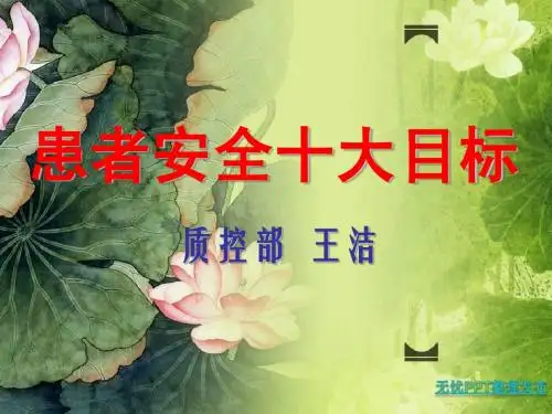 患者安全十大目标