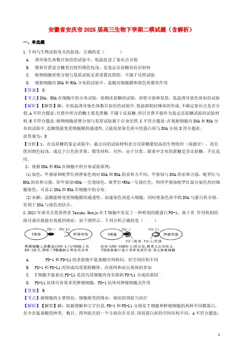 安徽省安庆市2025届高三生物下学期二模试题含解析