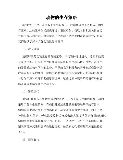 动物的生存策略