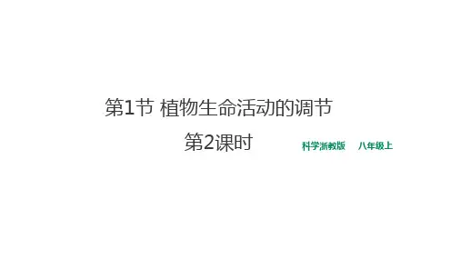 第1节植物生命活动的调节(PPT课件(初中科学)14张)