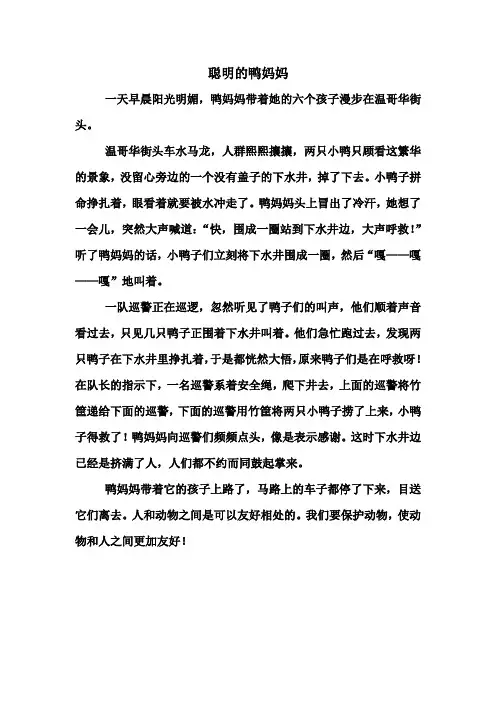 聪明的鸭妈妈