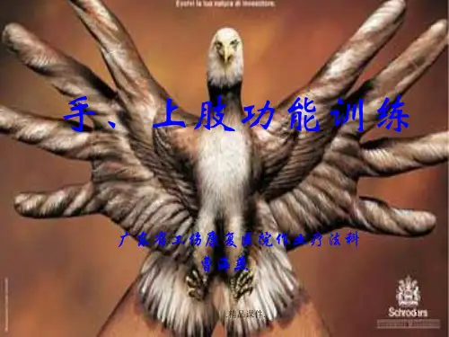 手、上肢功能训练培训资料.ppt