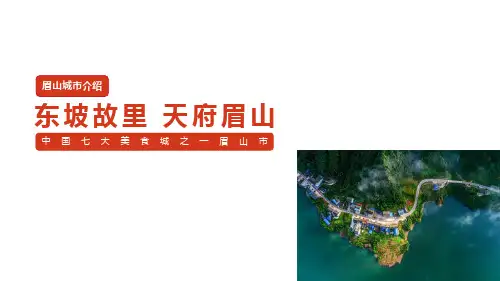 眉山城市介绍