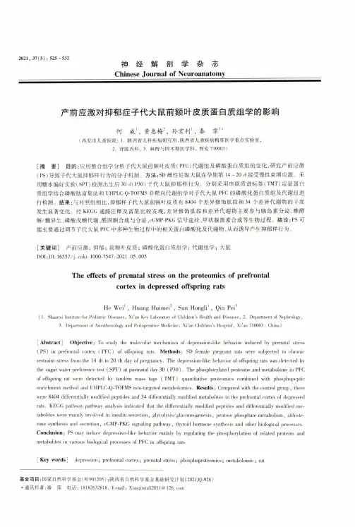 产前应激对抑郁症子代大鼠前额叶皮质蛋白质组学的影响
