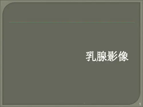 乳腺影像全ppt课件