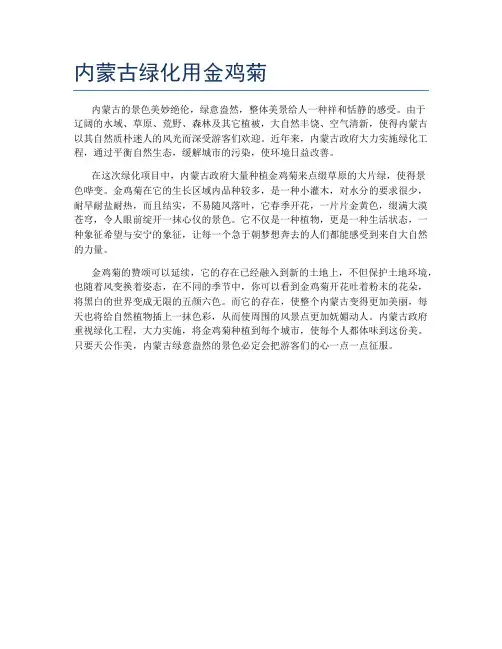 内蒙古绿化用金鸡菊
