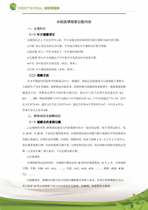 水稻苗情观察记载内容