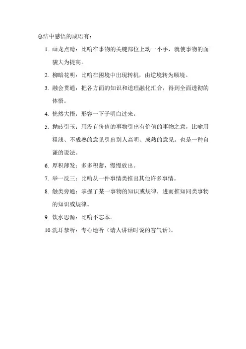 总结中感悟的成语