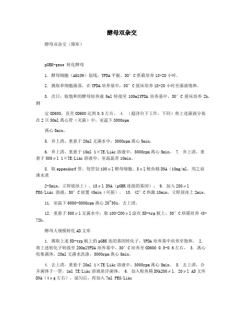 酵母双杂交