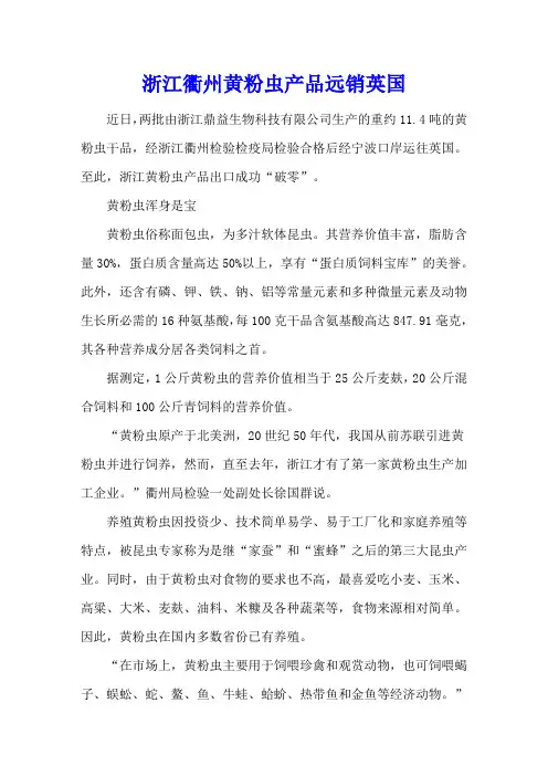 浙江衢州黄粉虫产品远销英国