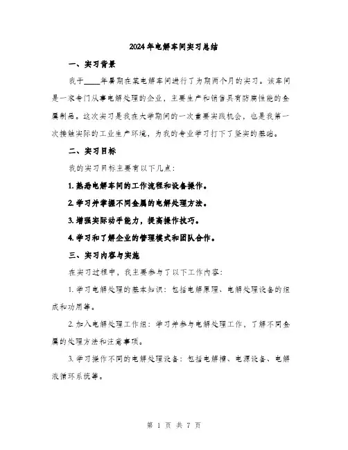 2024年电解车间实习总结(2篇)