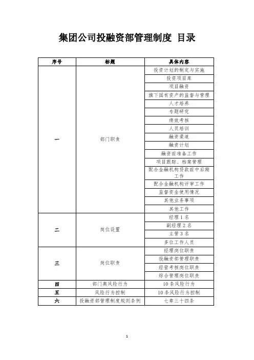 投融资管理制度(初定本)(99~03)(2012年3月29日报办公室) 精品