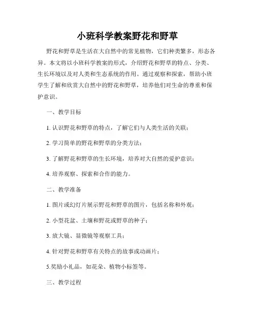 小班科学教案野花和野草